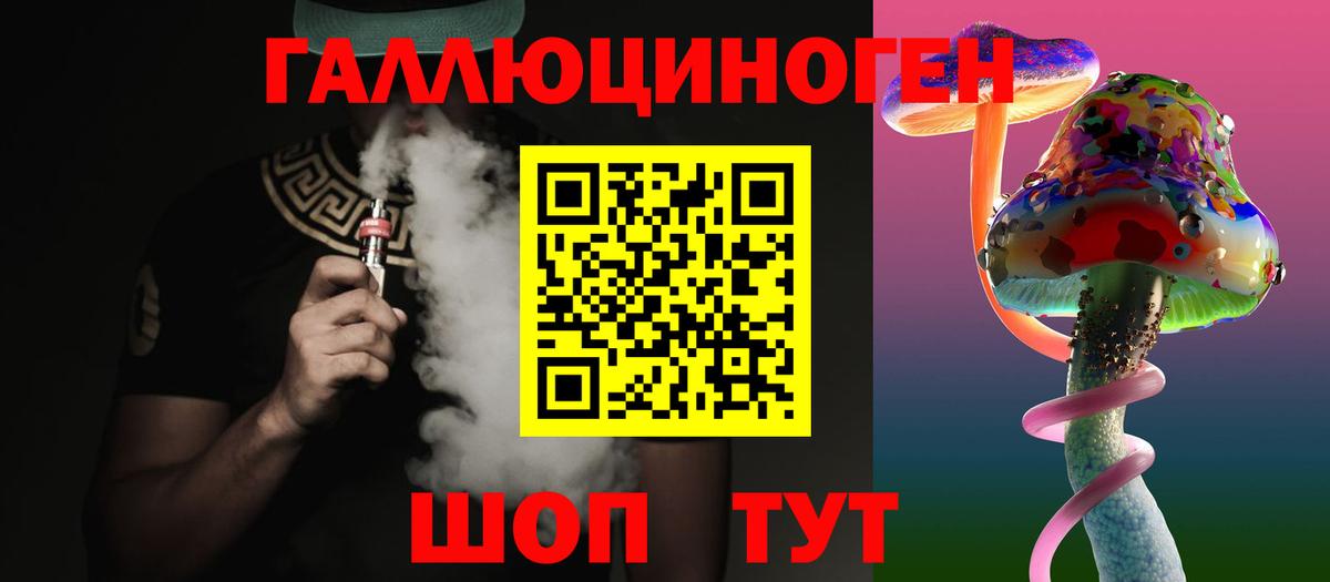 Псилоцибиновые грибы Psilocybe Новоалтайск